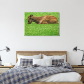 Slaap kleine canvas afdruk (Insitu (Slaapkamer))