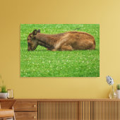 Slaap kleine canvas afdruk (Insitu (Woonkamer))