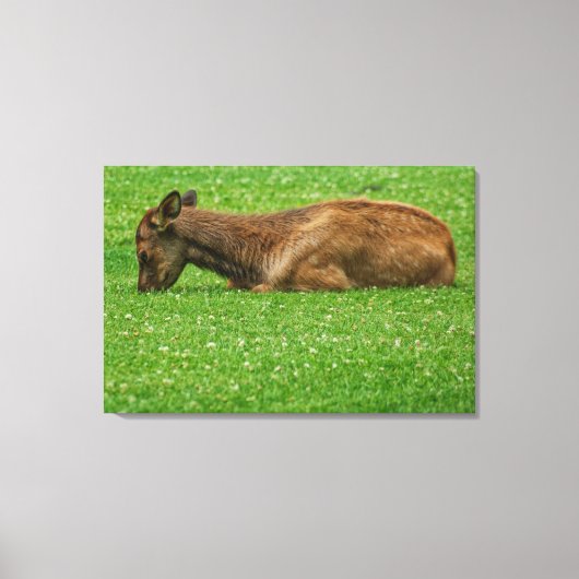 Slaap kleine canvas afdruk (Voorkant)