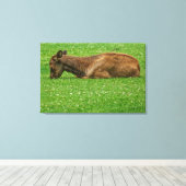 Slaap kleine canvas afdruk (Insitu (Houten vloer))