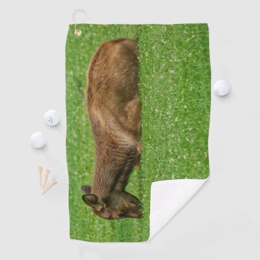 Slaap kleine golfhanddoek (Insitu)