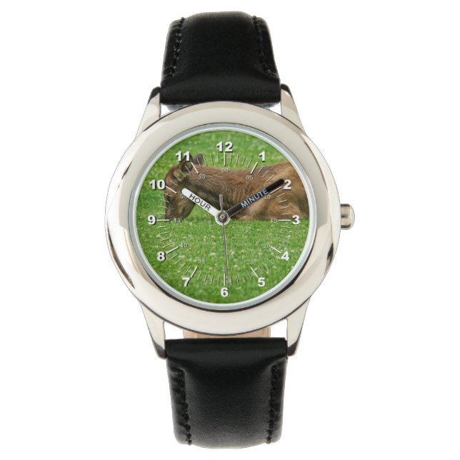 Slaap kleine horloge (Voorkant)