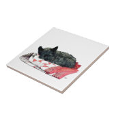 Slaap kleine Schotse terriër Tegeltje (Zijkant)