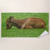 Slaap kleine strandlaken (Voorkant)