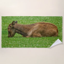 Slaap kleine strandlaken