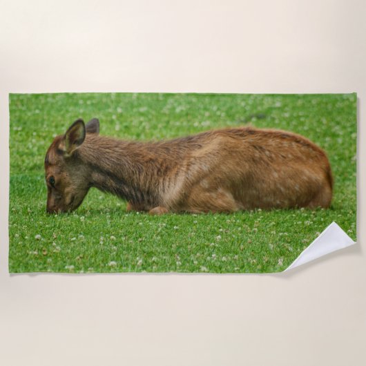 Slaap kleine strandlaken (Voorkant)