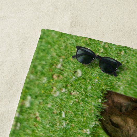 Slaap kleine strandlaken (In situ)