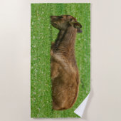 Slaap kleine strandlaken (Voorkant)