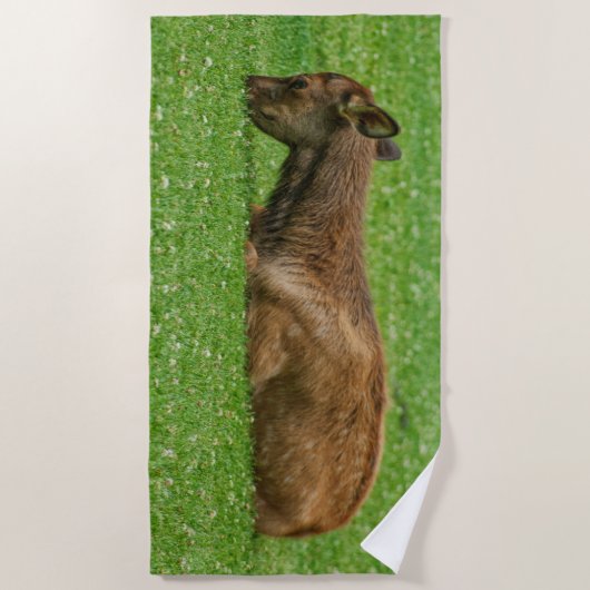 Slaap kleine strandlaken (Voorkant)