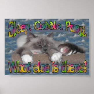Slaap, knuffel, purr! poster