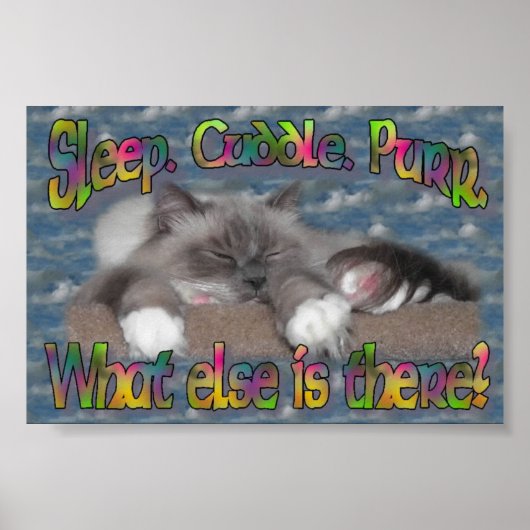 Slaap, knuffel, purr! poster (Voorkant)