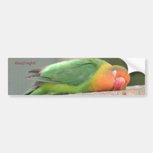 Slaap liefdesvogel bumpersticker