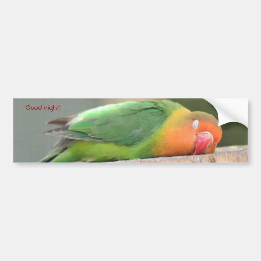 Slaap liefdesvogel bumpersticker (Voorkant)