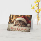 Slaap Muts Sinterklaas Kat Knus Kerstmis Kaart (Gele Bloem)