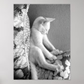 Slaap Poster (Voorkant)