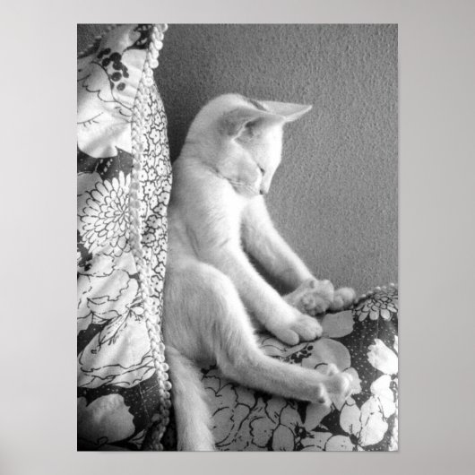 Slaap Poster (Voorkant)