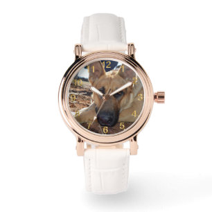 Slaap Recht: Sleepy Eyes Young Elzasser, Horloge