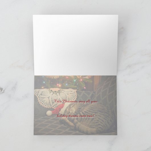 Slaap Santa Daisy Kitty Cat Kitten Vakantie Kaart (Binnen)