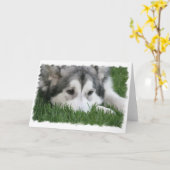 Slaap Schor Wenskaart Kaart (Gele Bloem)