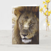 Slaap Simba (Leeuw) Kaart (Gele Bloem)