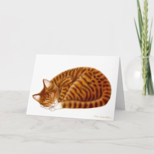 Slaap Tabby Cat Kaart (Voorkant)