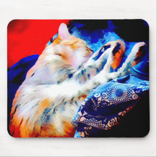 Slaap Tabby Cat Kleurrijke Muizenpad Muismat