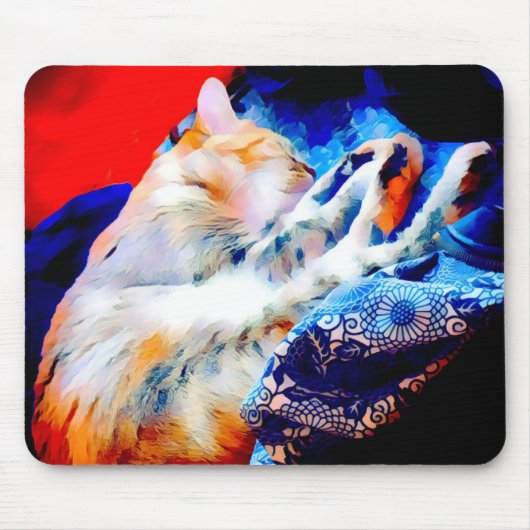 Slaap Tabby Cat Kleurrijke Muizenpad Muismat (Voorkant)