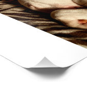 Slaap Tight Foto Afdruk (Hoek)