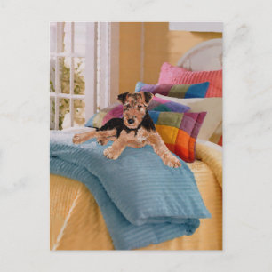 Slaap Tijd voor Puppy Briefkaart