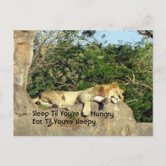 Slaap tot je honger hebt, eet tot je slaperig bent briefkaart (Voorkant)