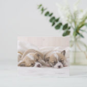 Slaap twee Welse Corgi Briefkaart (Staand voorkant)