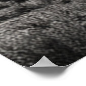 Slaap Ute Mountain zwart-wit fotografie Poster (Hoek)