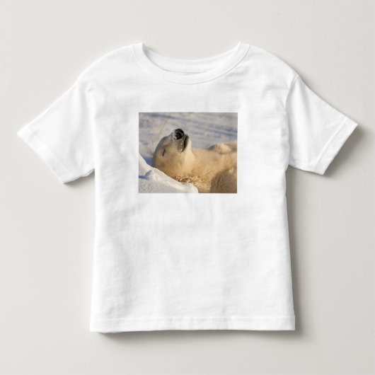 Slaap van ijsbeer kinder shirts (Voorkant)