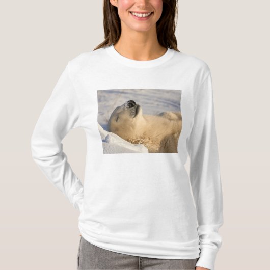 Slaap van ijsbeer t-shirt (Voorkant)