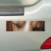 Slaapbeagle Bumpersticker (Op auto)