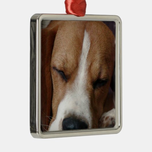 Slaapbeagle Ornament (Rechts)