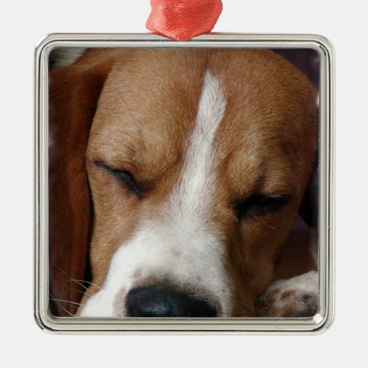 Slaapbeagle Ornament (Voorkant)
