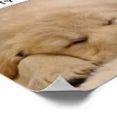 SLAAPBEAUTY POSTER (Hoek)