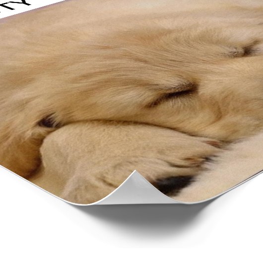 SLAAPBEAUTY POSTER (Hoek)