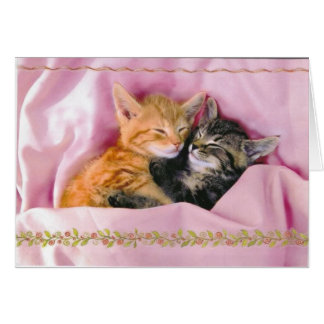 slaapbogen; uitgelijnd