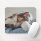 Slaapcalico Muismat (Met muis)