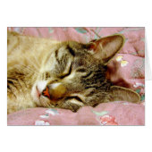 Slaapdeksel (Voorkant Horizontaal)