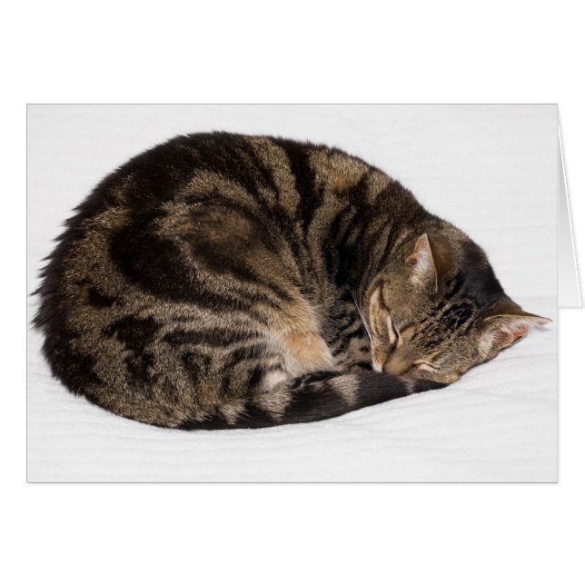 Slaapdeksel (Voorkant Horizontaal)