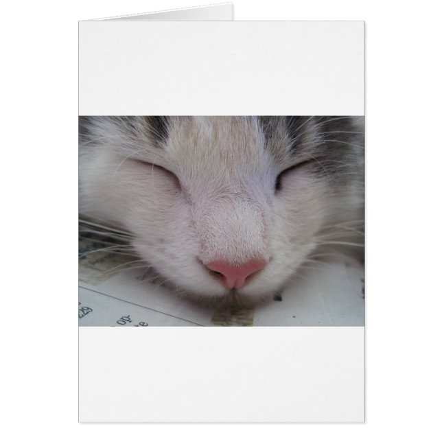 Slaapdeksel (Voorkant)