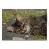 Slaapdeksel (Voorkant Horizontaal)