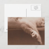 Slaapdeksel Briefkaart (Voorkant / Achterkant)