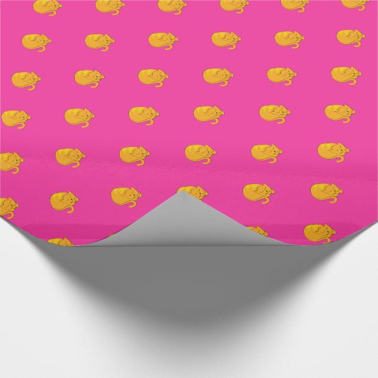 Slaapdeksel Cadeaupapier (Hoek)
