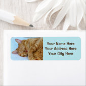 Slaapdeksel Etiket (Insitu)