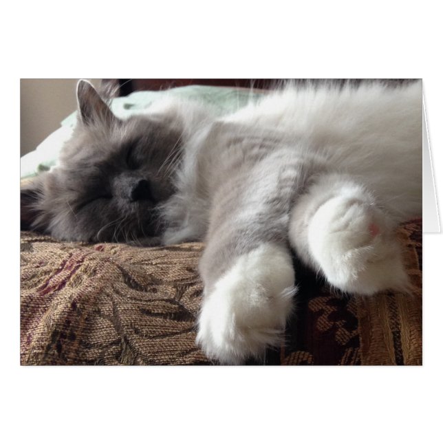 Slaapdeksel, kaart (Voorkant Horizontaal)