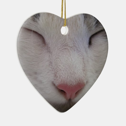 Slaapdeksel Keramisch Ornament (Rechts)